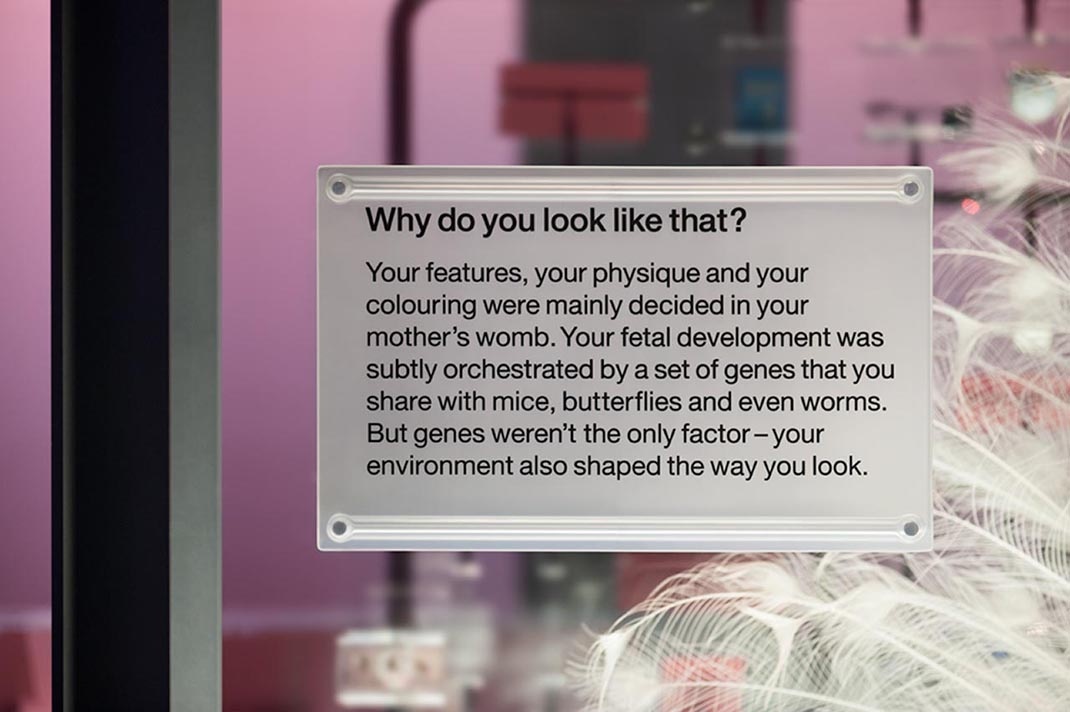 深圳展廳設計 科學博物館展廳設計