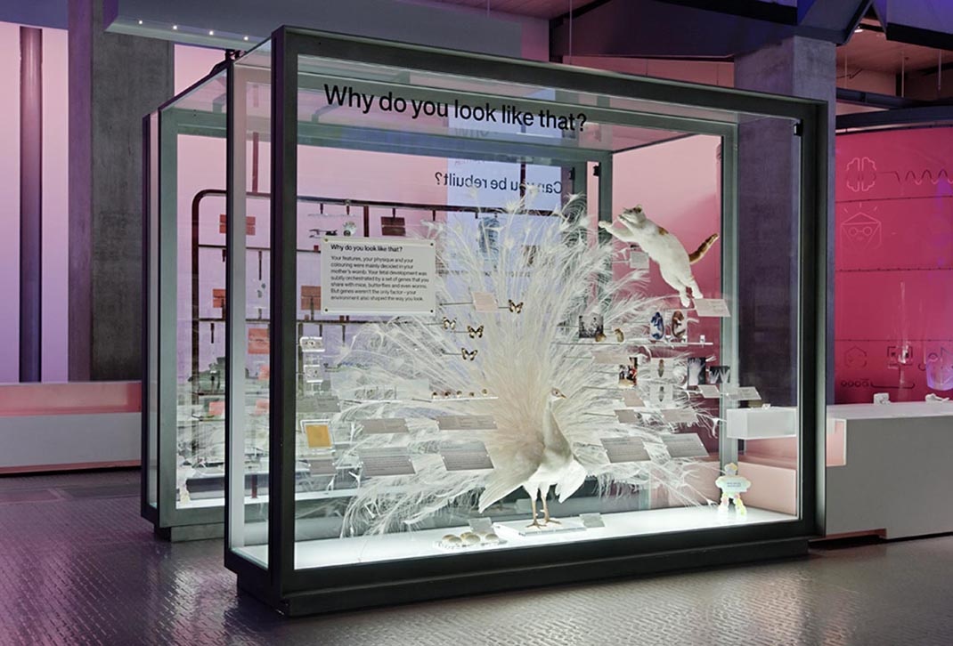 深圳展廳設計 科學博物館展廳設計