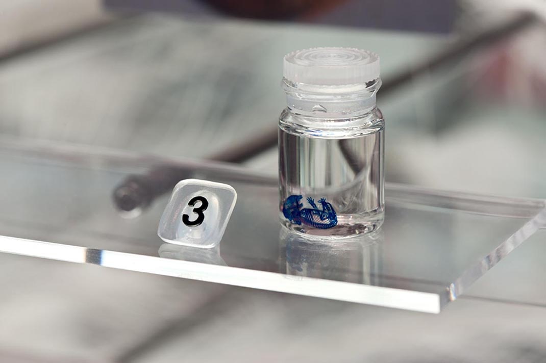 深圳展廳設計 科學博物館展廳設計