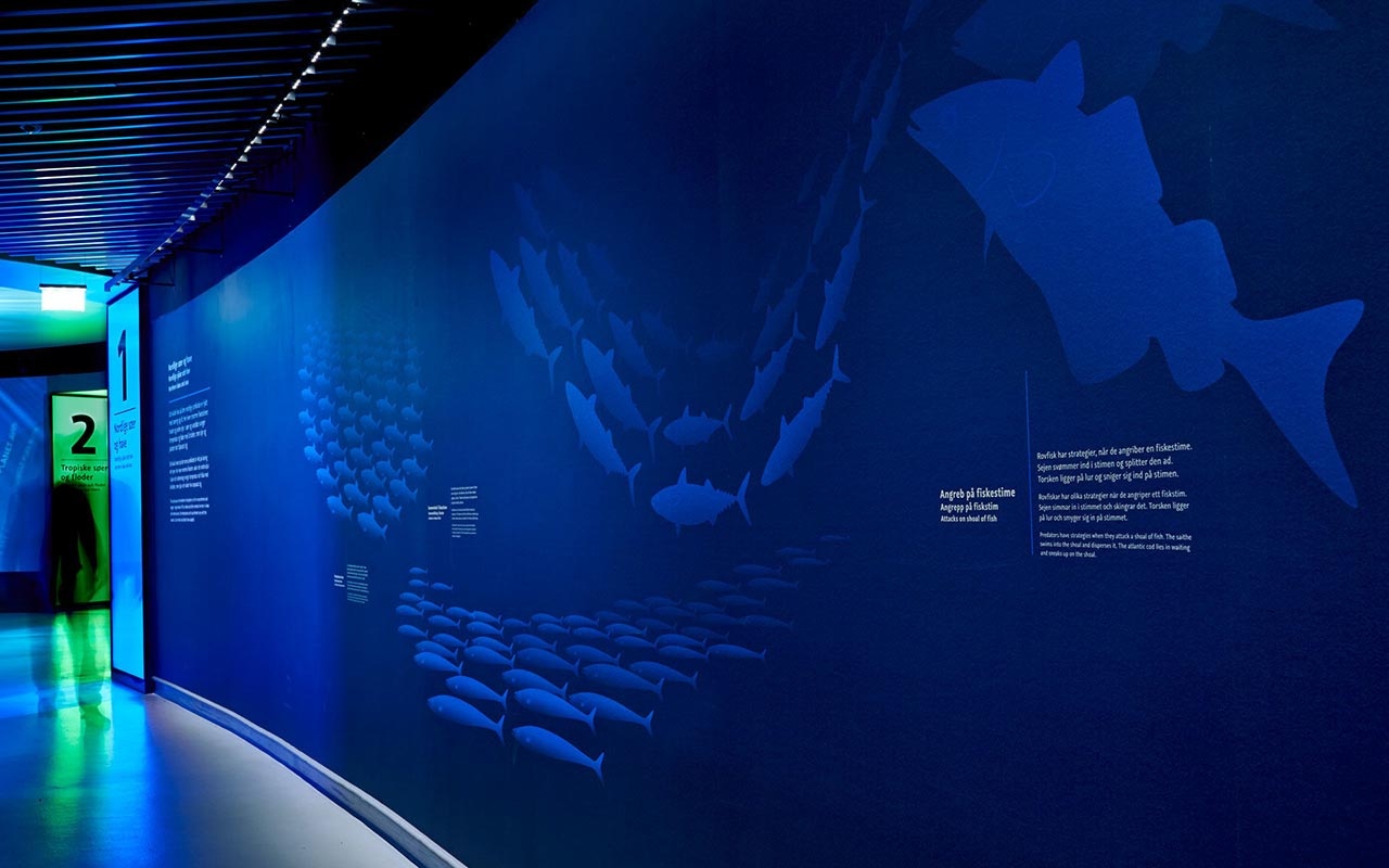 海洋館設(shè)計(jì) 海洋館設(shè)計(jì)