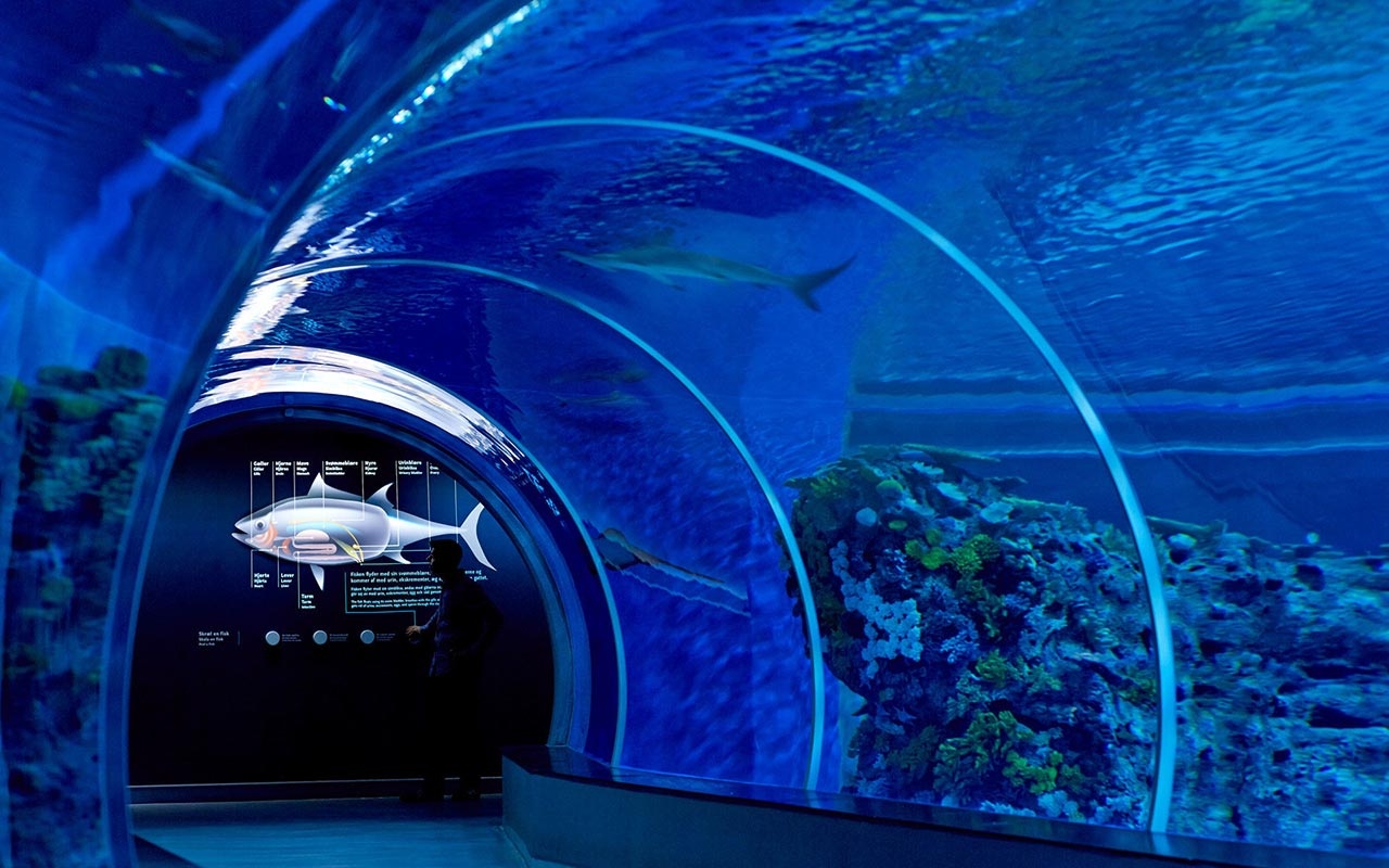 海洋館設(shè)計(jì) 海洋館設(shè)計(jì)