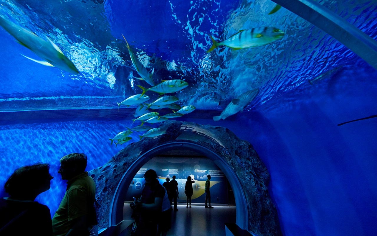 海洋館設(shè)計(jì) 海洋館設(shè)計(jì)