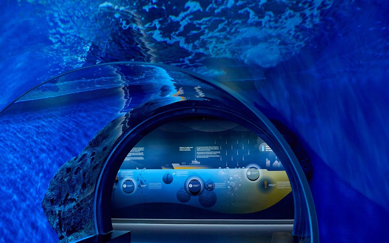 水族館設(shè)計(jì) 水族館設(shè)計(jì)