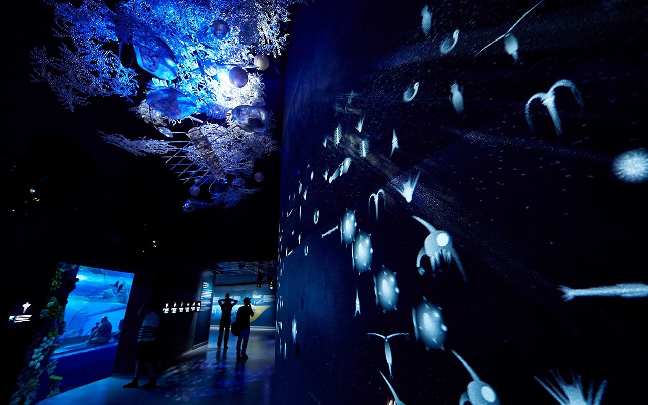 水族館設(shè)計(jì) 水族館設(shè)計(jì)