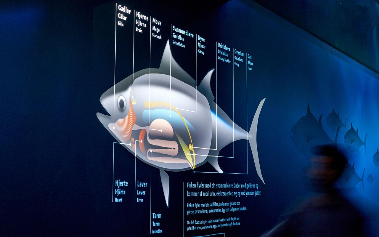 水族館設(shè)計(jì) 水族館設(shè)計(jì)