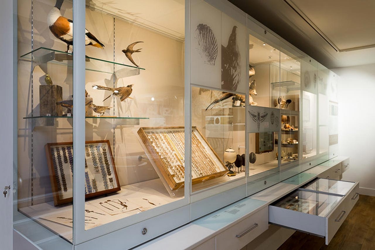 博物館設(shè)計 博物館設(shè)計