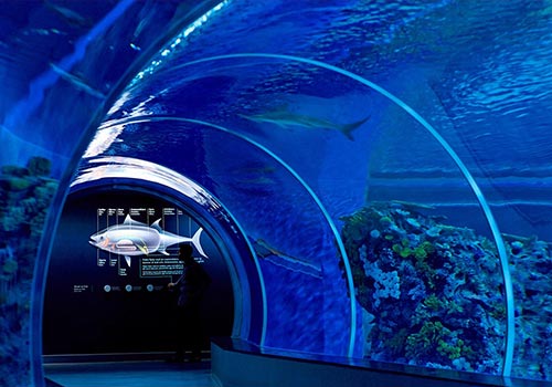 丹麥海洋館設(shè)計(jì)與展廳平面圖